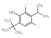 2,4-dichloro-3-propan-2-yl-6-tert-butyl-phenol picture