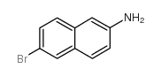 2-氨基-6-溴萘结构式