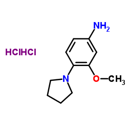 3-甲氧基-4-(1-吡咯烷基)苯胺二盐酸盐结构式