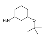 3-叔丁氧基环己胺结构式