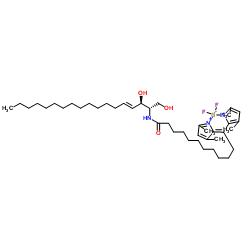 N-[11-(二氟亚甲基二硼化硼)十一烷酰基] -D-赤型-鞘氨醇结构式