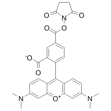 5-羧基四甲基罗丹明琥珀酰亚胺酯结构式