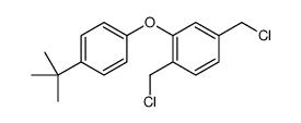2-(4-tert-butylphenoxy)-1,4-bis(chloromethyl)benzene Structure