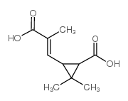 Chrysanthemumdicarboxylic acid Structure