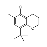8-tert-butyl-5-chloro-6-methyl-3,4-dihydro-2H-chromene结构式