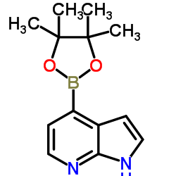 7-氮杂吲哚-4-硼酸频哪醇酯结构式