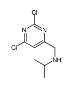 (2,6-二氯-嘧啶-4-甲基)-异丙基-胺结构式
