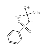 Benzenesulfonamide,N-(1,1-dimethylethyl)- Structure