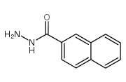 2-萘甲酰肼图片