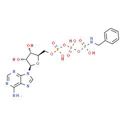 ATP gamma-benzylamide structure