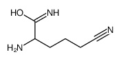 2-amino-5-cyanopentanamide Structure