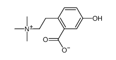 L-Tyrosine Structure