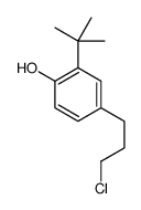 2-tert-butyl-4-(3-chloropropyl)phenol Structure