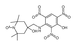 4-hydroxy-2,2,6,6-tetramethyl-4-(3-picrylaminomethyl)piperidine N-oxide Structure