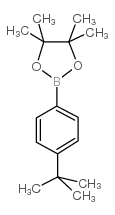 4-叔丁基苯硼酸频呢醇酯结构式
