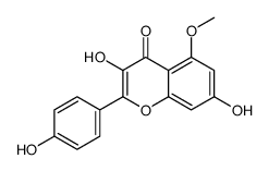 5-甲氧基山奈酚; 5-甲氧基莰非醇图片