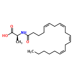N-花生四烯酰基-(L)-丙氨酸(NA-Ala)结构式