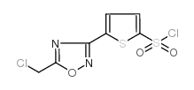 5-[5-(氯甲基)-1,2,4-噁二唑-3-基]-2-噻吩磺酰氯结构式