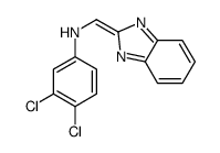 N-(benzimidazol-2-ylidenemethyl)-3,4-dichloroaniline结构式