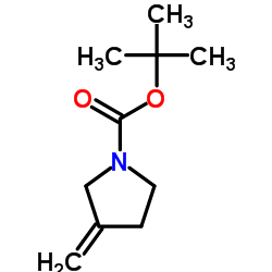 3-亚甲基吡咯烷-1-羧酸叔丁酯结构式