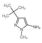 5-氨基-3-叔丁基-1-甲基吡唑图片