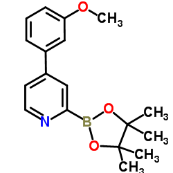 4-(3-Methoxyphenyl)-2-(4,4,5,5-tetramethyl-1,3,2-dioxaborolan-2-yl)pyridine结构式