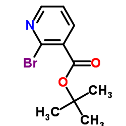 tert-Butyl 2-bromonicotinate picture