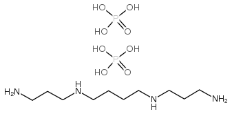 spermine phosphate structure