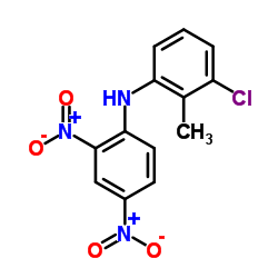 3-Chloro-N-(2,4-dinitrophenyl)-2-methylaniline结构式