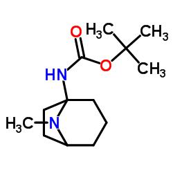 tert-Butyl exo-3-amino-8-azabicyclo[3.2.1]octane-8-carboxylate Structure