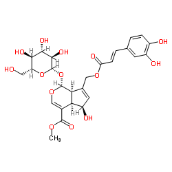 10-O-Caffeoyl-6-epiferetoside Structure