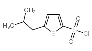 5-异丁基噻吩-2-磺酰氯结构式