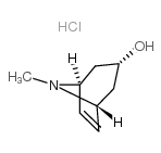8-甲基-8-氮杂双环[3.2.1]辛-6-烯-3-醇盐酸盐结构式