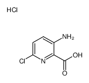3-Amino-6-chloropyridine-2-carboxylic acid hydrochloride picture