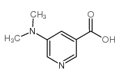 5-二甲氨基烟酸结构式