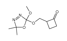 2-(2-cyclobutanonemethoxy)-2-methoxy-5,5-dimethyl-Δ3-1,3,4-oxadiazoline Structure