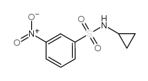 N-cyclopropyl-3-nitrobenzenesulfonamide Structure