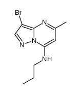 3-bromo-5-methyl-N-propylpyrazolo[1,5-a]pyrimidin-7-amine Structure