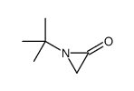 1-tert-butylaziridin-2-one Structure