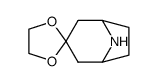8-氮杂螺[双环[3.2.1]辛烷-3,2'-[1,3]二氧戊环]结构式
