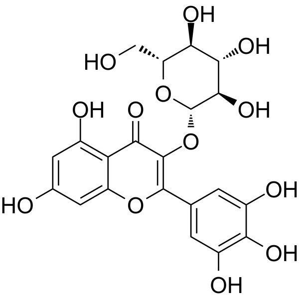 Myricetin 3-O-beta-D-glucopyranoside picture