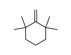 1,1,3,3-Tetramethyl-2-methylencyclohexan结构式