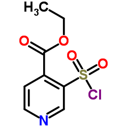 3-(氯磺酰基)异烟酸乙酯结构式