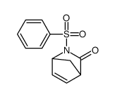 3-(benzenesulfonyl)-3-azabicyclo[2.2.1]hept-5-en-2-one Structure