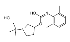 (1-tert-butylpyrrolidin-1-ium-3-yl) N-(2,6-dimethylphenyl)carbamate,chloride Structure