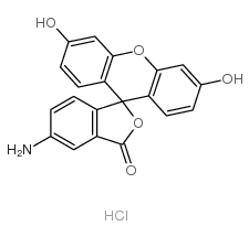 6-amino-6'-hydroxyspiro[2-benzofuran-3,9'-9aH-xanthene]-1,3'-dione,hydrochloride Structure