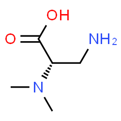 Alanine, 3-amino-N,N-dimethyl- (9CI) Structure