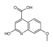 2-羟基-7-甲氧基-喹啉-4-羧酸结构式