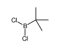 tert-butyl(dichloro)borane结构式