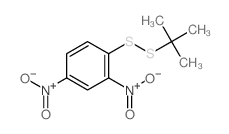 2,4-dinitro-1-tert-butyldisulfanyl-benzene结构式